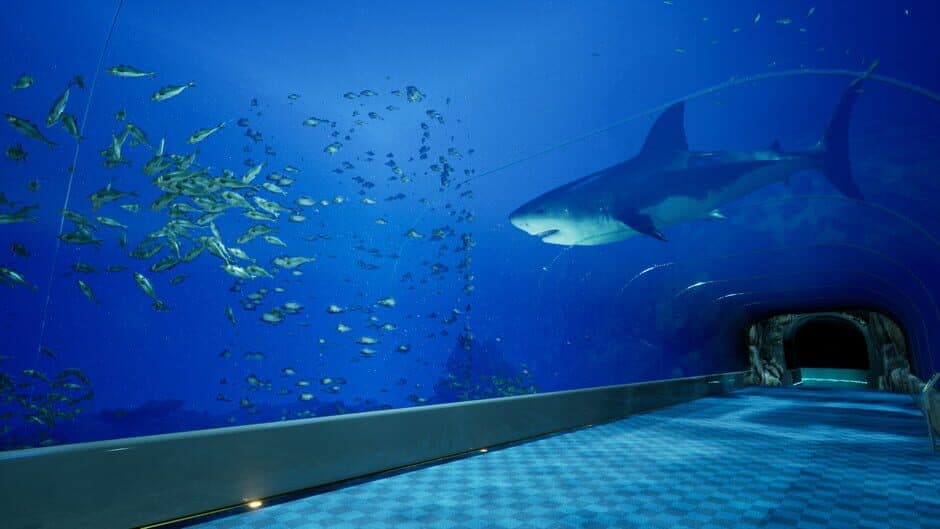 Скриншот 2 из Aquarium at August 32nd