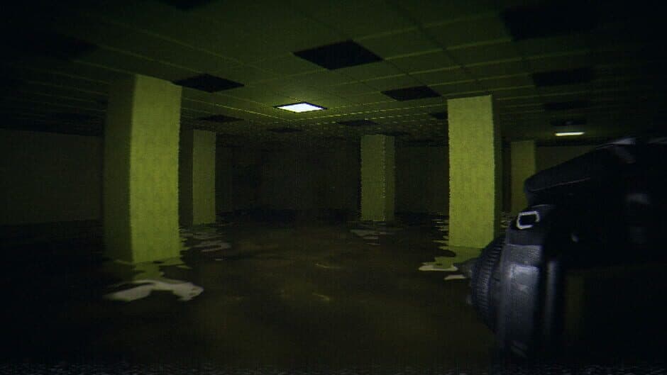 Скриншот 2 из HorrorCore: Maze and Pools of Horror