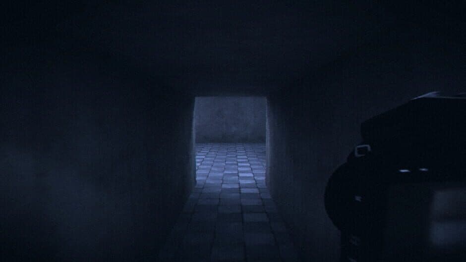 Скриншот 9 из HorrorCore: Maze and Pools of Horror