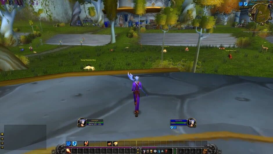 Скриншот 1 из Turtle WoW: Mysteries of Azeroth