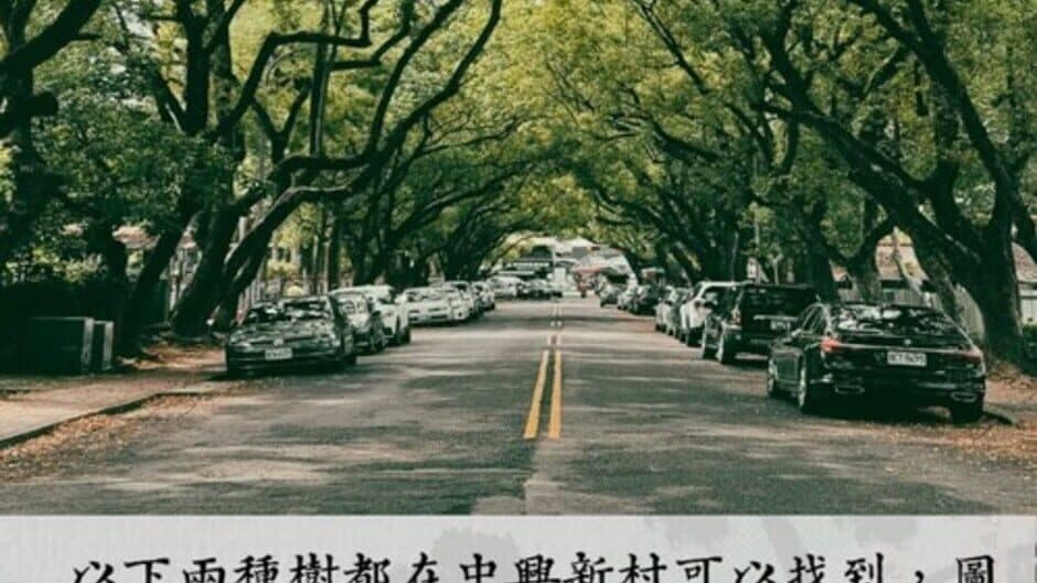 Скриншот 7 из Zhong Xing New Village