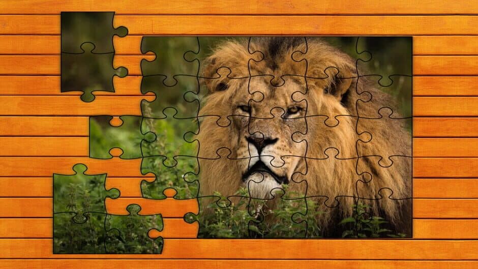 Скриншот 1 из Big Cat Jigsaw Quest: Expansion Pack 1