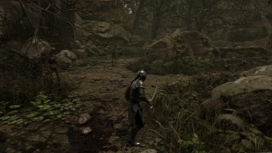 Скриншот 1 из Eternal Knight