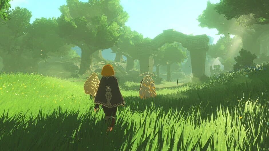 Скриншот 1 из Hyrule Warriors: Age of Imprisonment