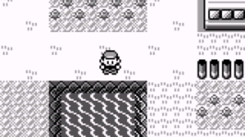 Скриншот 1 из Pokémon: Professor Oak Challenge