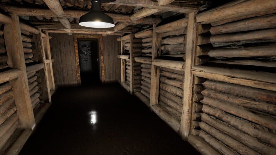 Скриншот 8 из Three Doors: Labyrinth of Fear