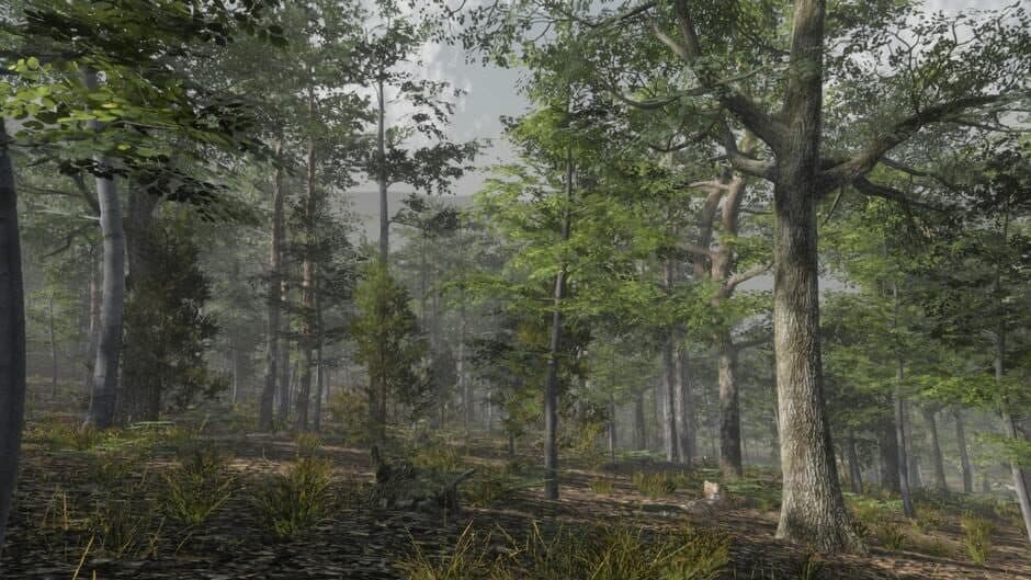 Скриншот 9 из Deer Hunting Camp