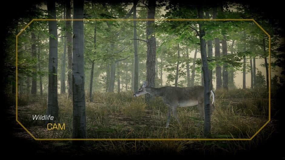 Скриншот 4 из Deer Hunting Camp