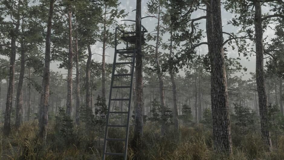 Скриншот 6 из Deer Hunting Camp