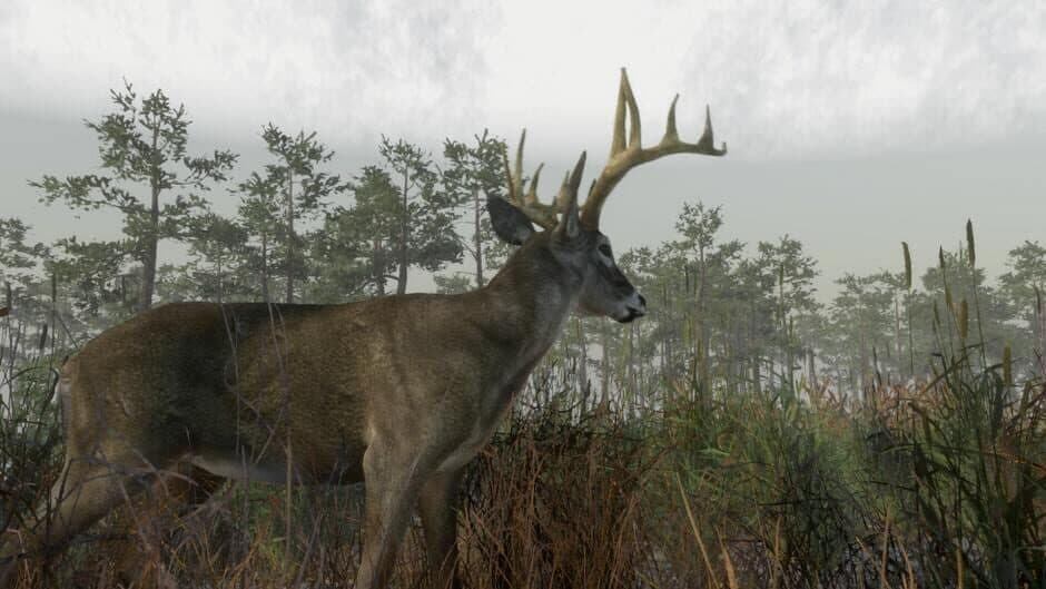 Скриншот 8 из Deer Hunting Camp