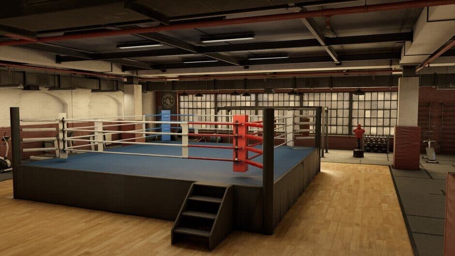 Скриншот 5 из The Thrill of the Fight 2