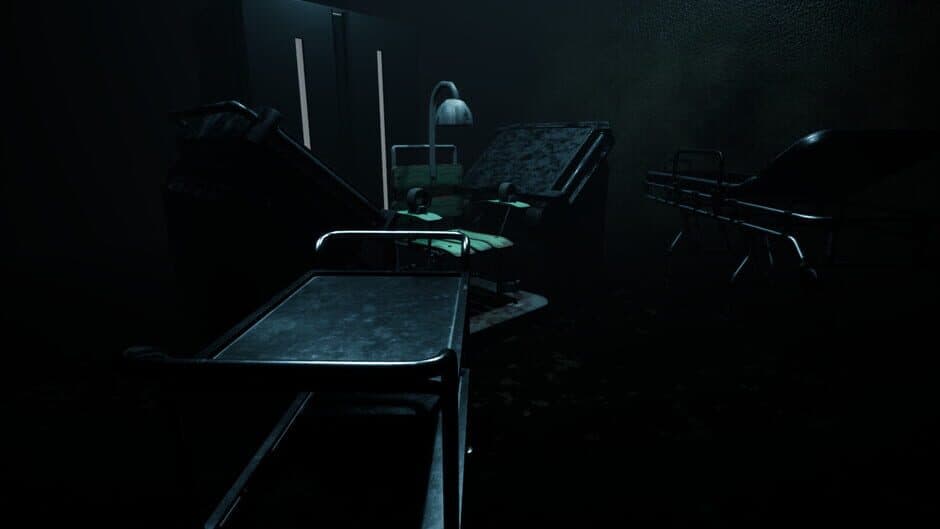 Скриншот 1 из Forest Asylum