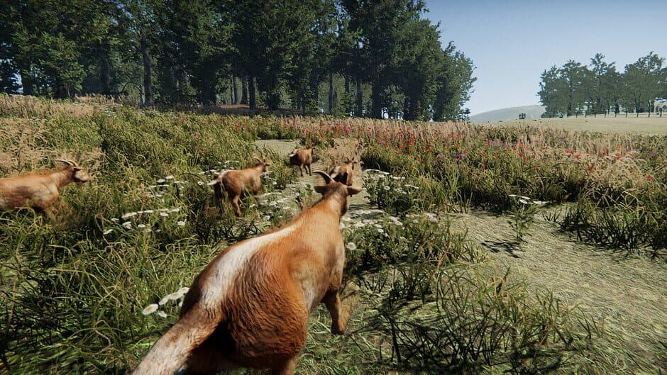 Скриншот 3 из Goat Massacre