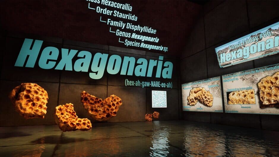 Скриншот 4 из ShadowBox: Mausoleum of Natural History