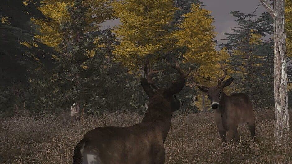 Скриншот 2 из Deer Simulator