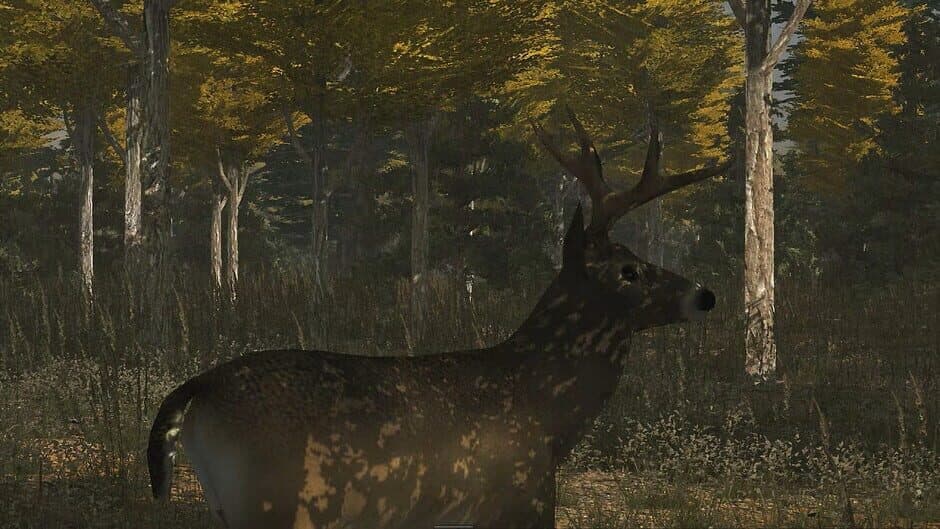 Скриншот 3 из Deer Simulator