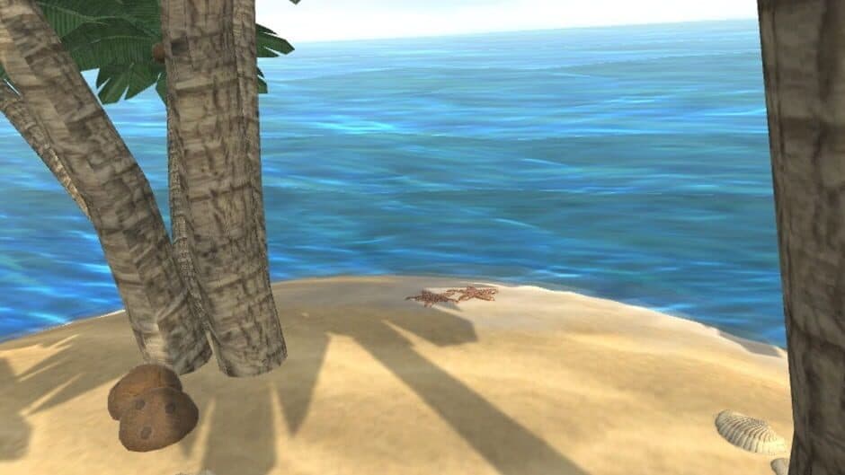 Скриншот 2 из Bara Beach Bear