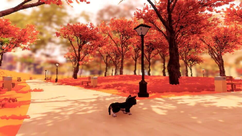 Скриншот 4 из Fluffy Autumn