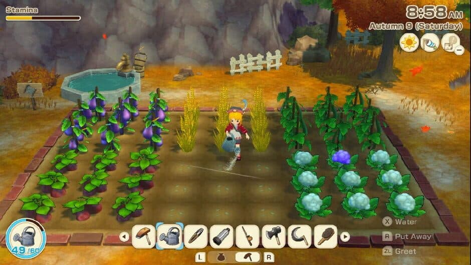 Скриншот 3 из Story of Seasons: Grand Bazaar - Digital Deluxe Edition