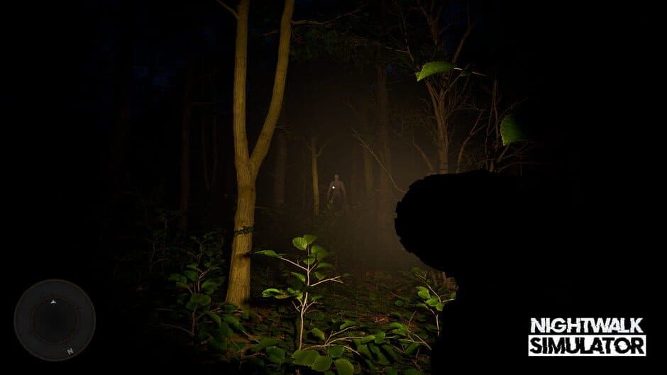 Скриншот 4 из Nightwalk Simulator