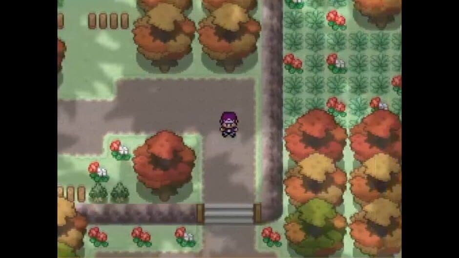 Скриншот 1 из Pokemon Alchemist
