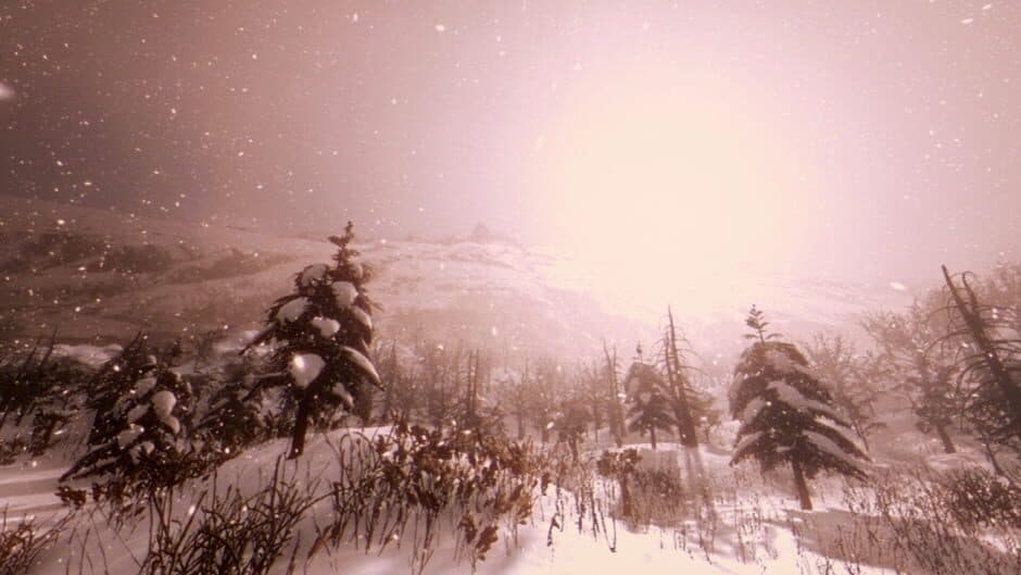 Скриншот 9 из Tales Beyond the Tomb: White Silence