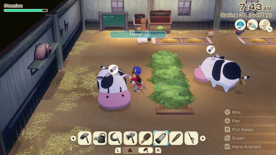 Скриншот 1 из Story of Seasons: Grand Bazaar - Super Digital Deluxe Edition