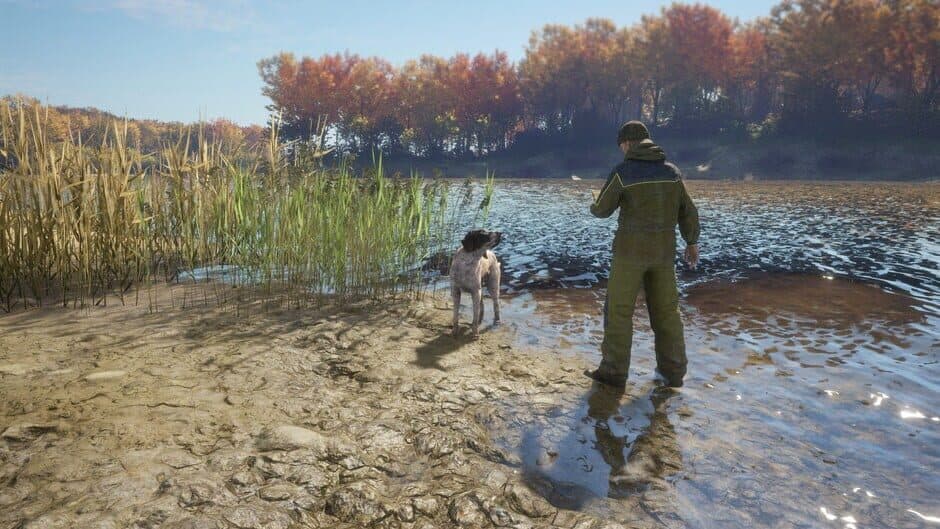 Скриншот 2 из TheHunter: Call of the Wild - German Shorthaired Pointer