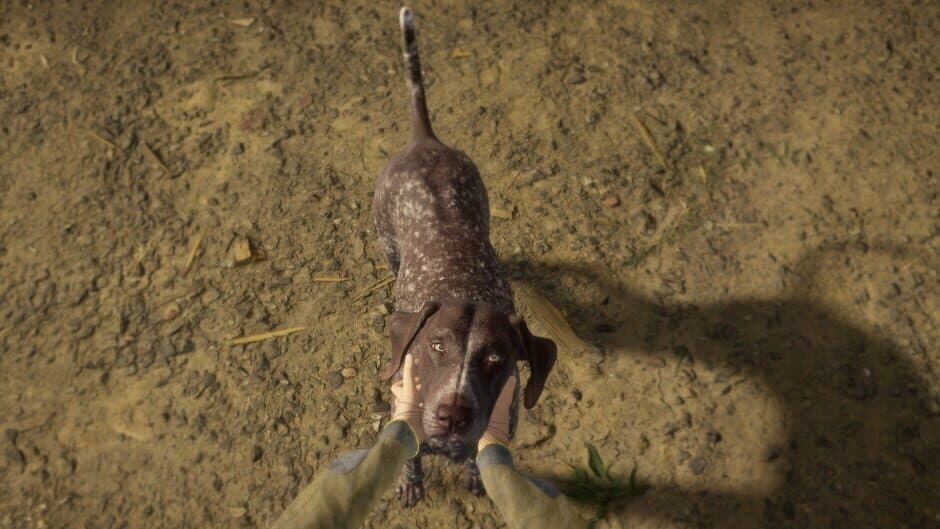 Скриншот 1 из TheHunter: Call of the Wild - German Shorthaired Pointer
