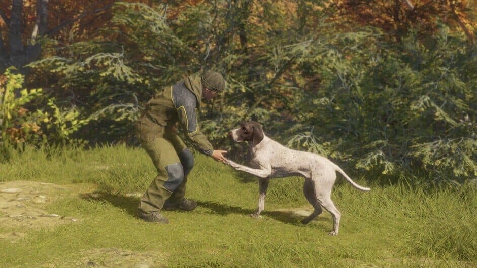 Скриншот 6 из TheHunter: Call of the Wild - German Shorthaired Pointer