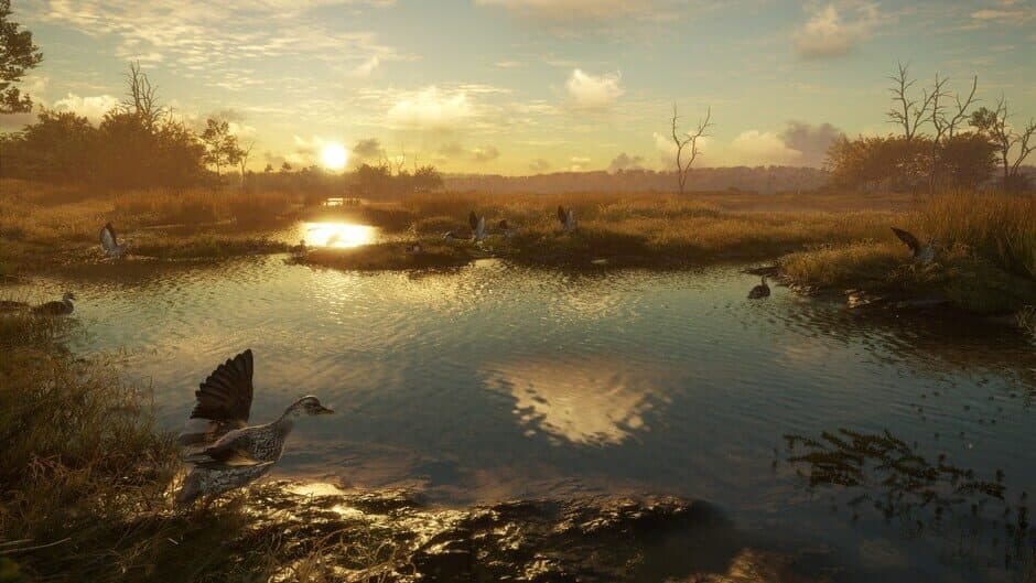 Скриншот 1 из TheHunter: Call of the Wild - Salzwiesen Park