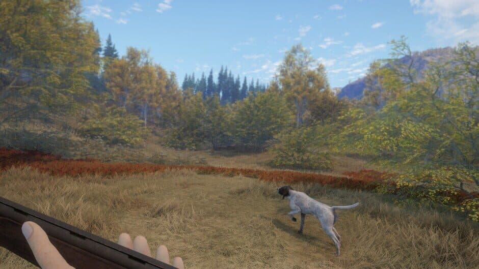 Скриншот 3 из TheHunter: Call of the Wild - German Shorthaired Pointer