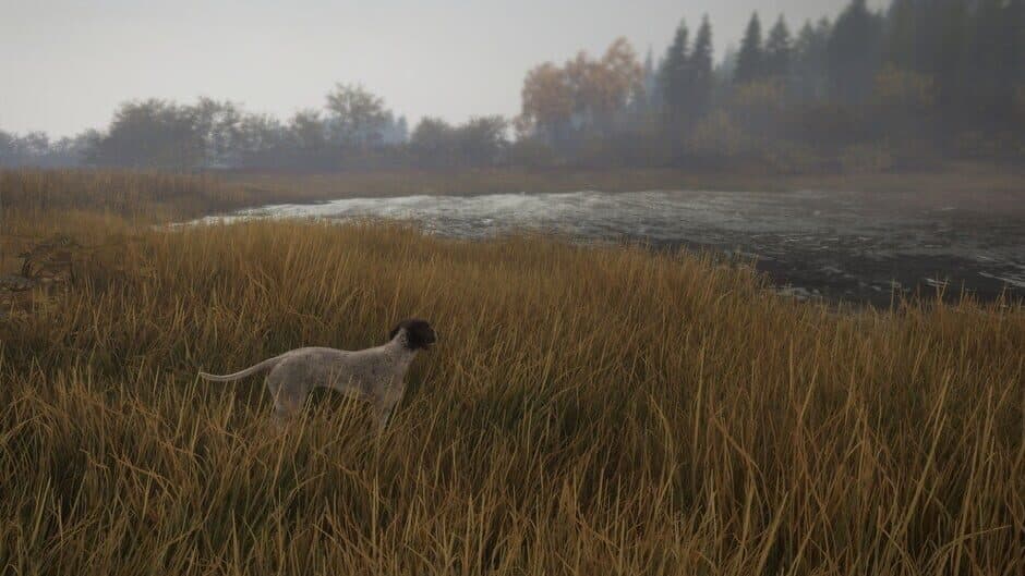 Скриншот 7 из TheHunter: Call of the Wild - German Shorthaired Pointer