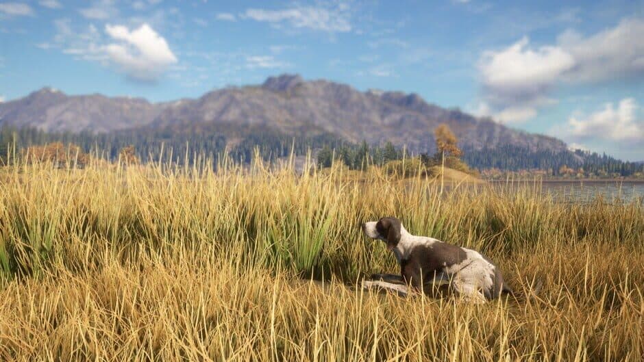 Скриншот 4 из TheHunter: Call of the Wild - German Shorthaired Pointer