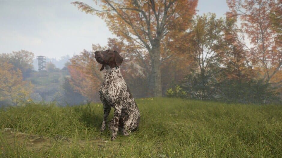 Скриншот 5 из TheHunter: Call of the Wild - German Shorthaired Pointer