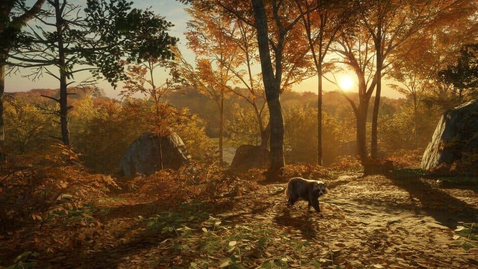 Скриншот 5 из TheHunter: Call of the Wild - Salzwiesen Park