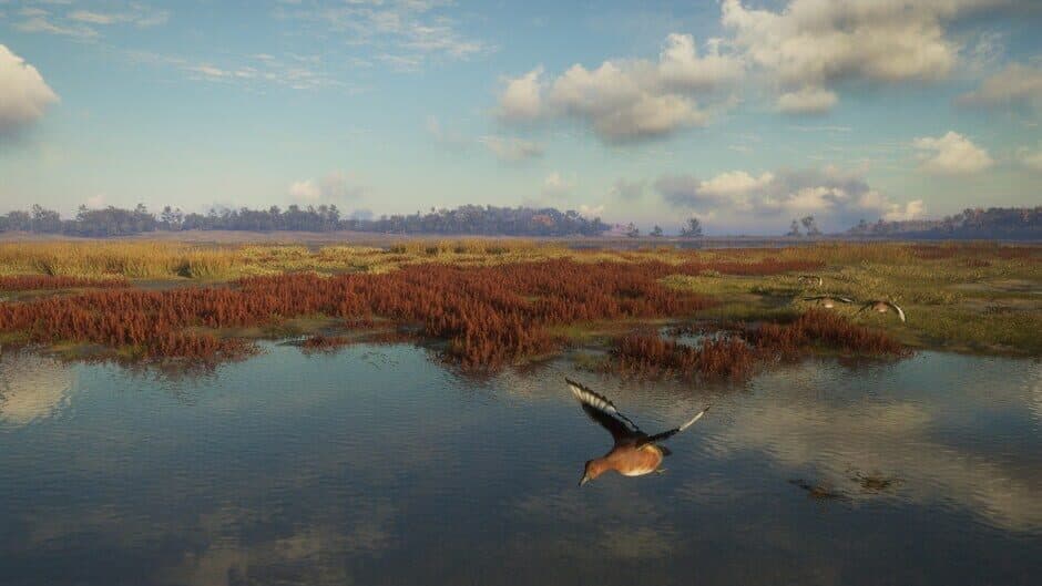Скриншот 7 из TheHunter: Call of the Wild - Salzwiesen Park