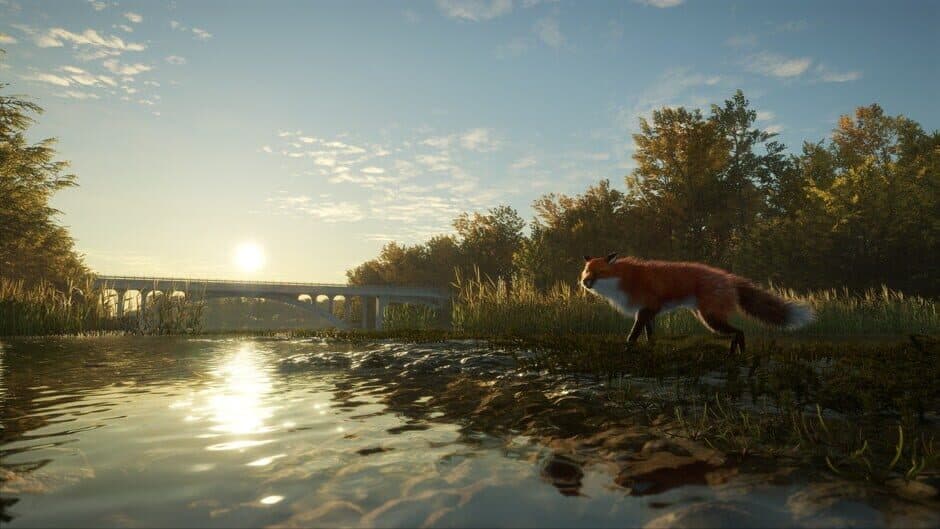 Скриншот 8 из TheHunter: Call of the Wild - Salzwiesen Park
