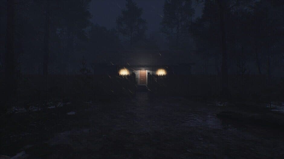 Скриншот 1 из Light in the Woods
