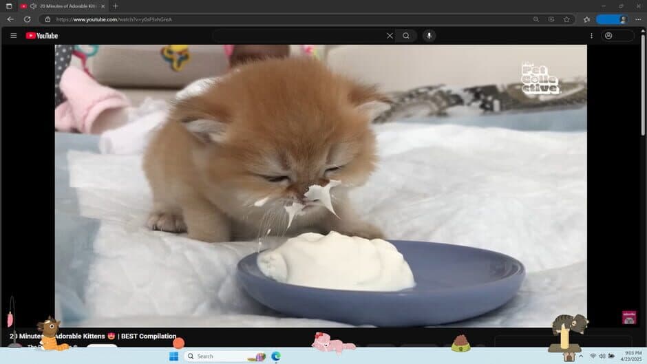 Скриншот 2 из Digital Desktop Cats