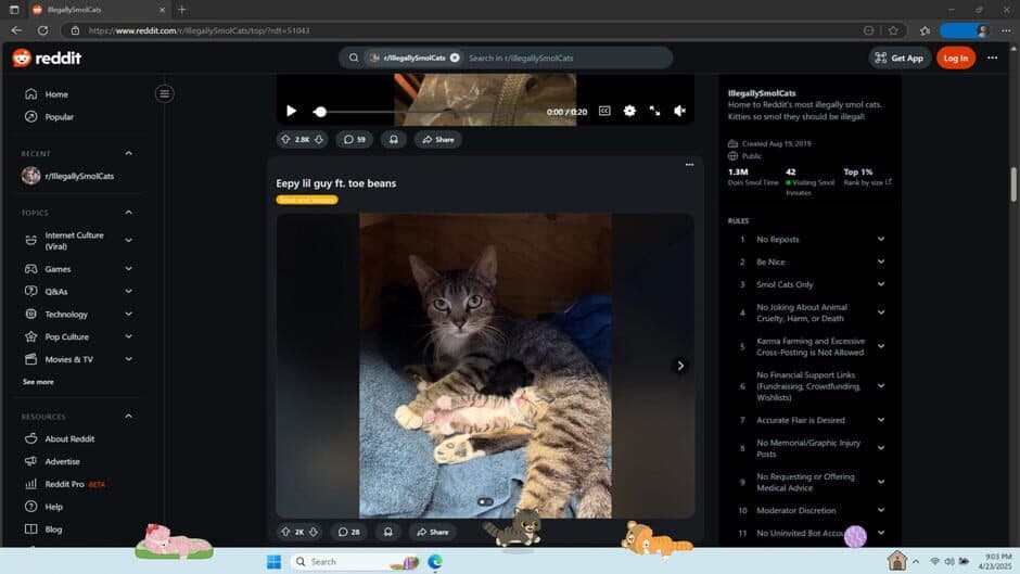Скриншот 4 из Digital Desktop Cats