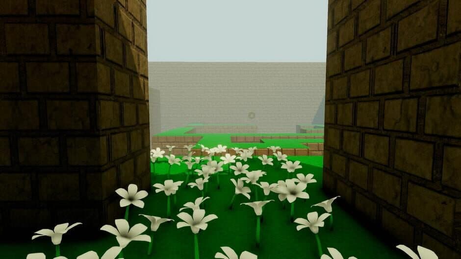 Скриншот 3 из Maze: Interim Odyssey