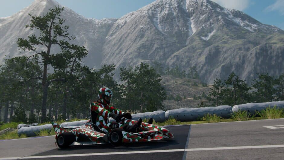 Скриншот 3 из Kart Evolution 2025