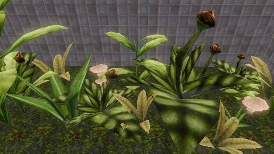 Скриншот 1 из Cloud Storage Botanical Station