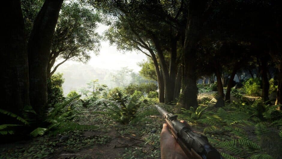 Скриншот 11 из Beyond Enemy Lines: Vietnam