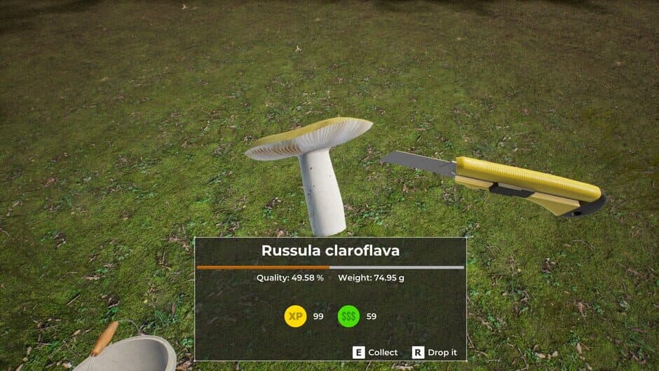 Скриншот 10 из Mushroom Hunter World
