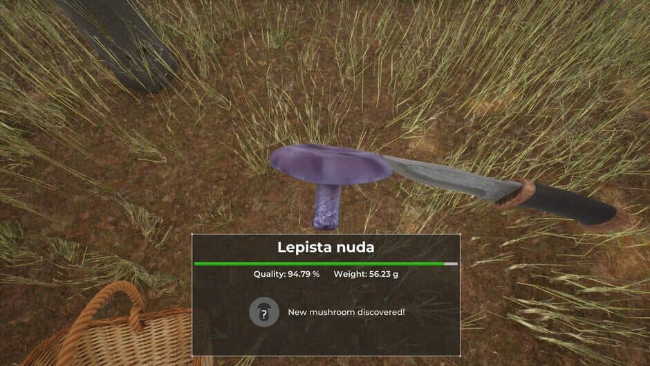 Скриншот 1 из Mushroom Hunter World