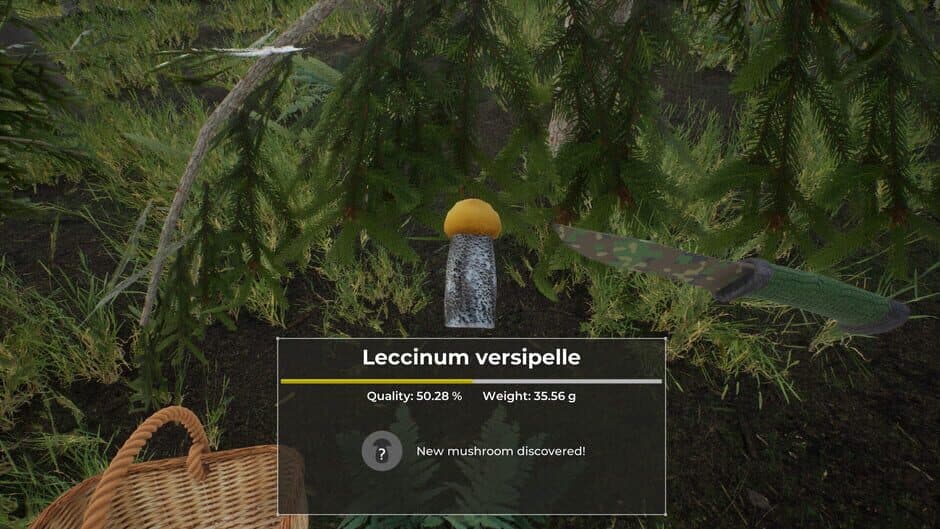 Скриншот 3 из Mushroom Hunter World