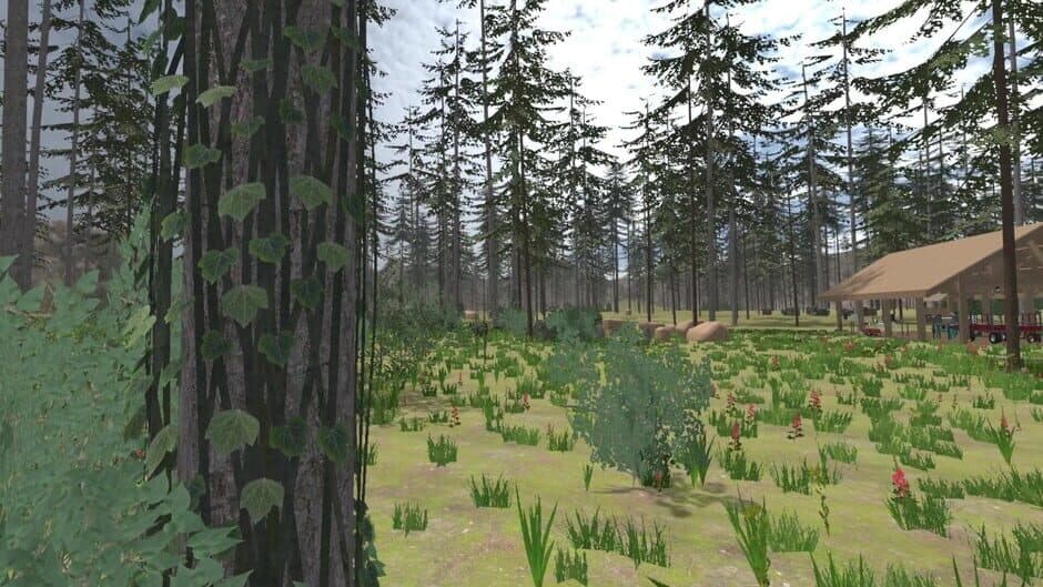 Скриншот 2 из Forest Construction VR
