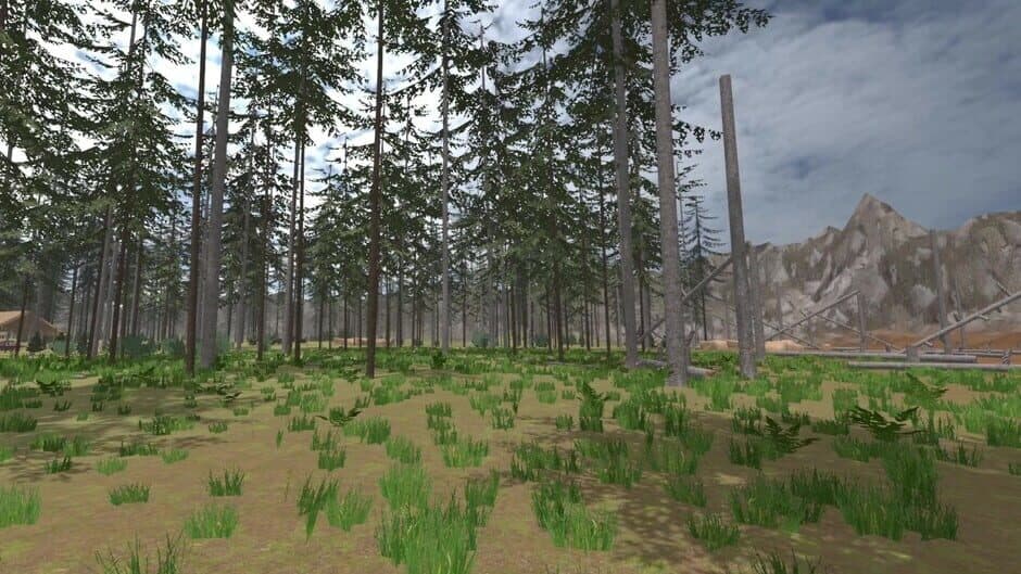 Скриншот 3 из Forest Construction VR